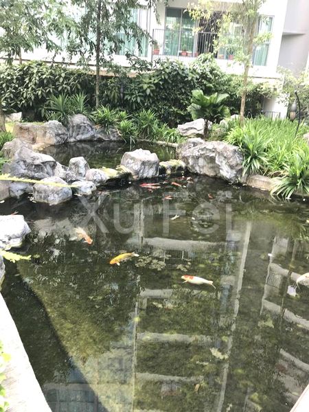 Room (Condo) for Rent in  Eight Courtyards - Image 4